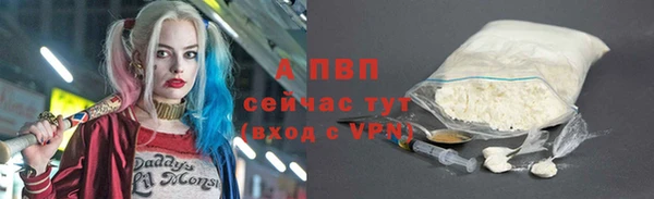 стафф Зерноград