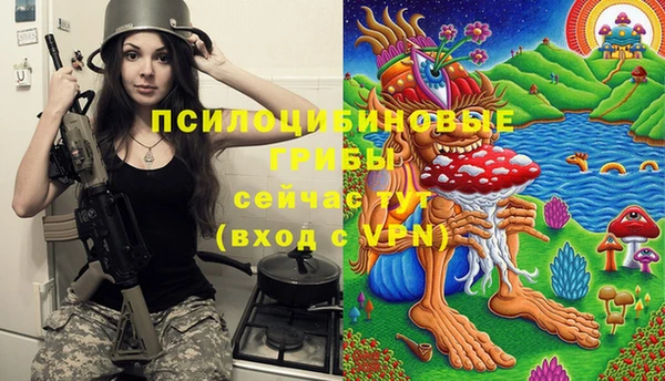 стафф Зерноград