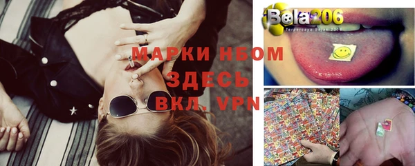 стафф Зерноград