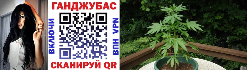 Купить закладки  Малая Вишера  Канабис OG Kush 